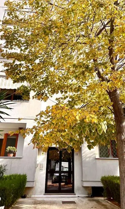 לצ'ה Amy'S Apartment